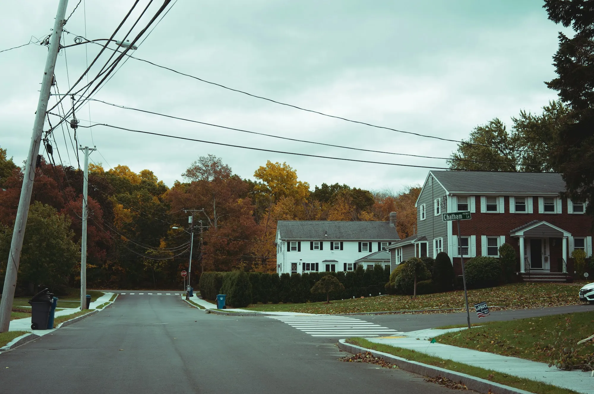 Trees beside a detached house
