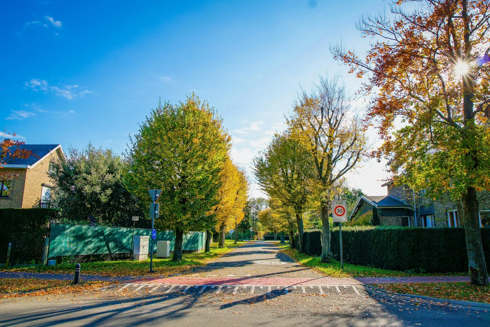 Detached house among green trees